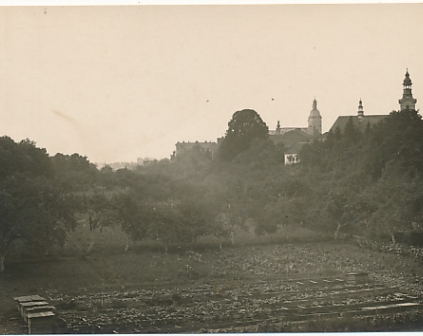 Nowy Sącz Ogrody widok na kościół