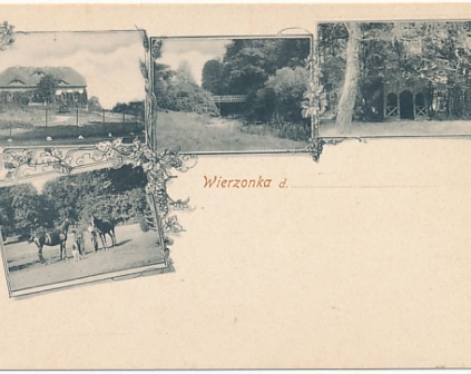 Wierzonka Kilka widoków długi adres