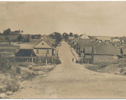 Wiszniew Widok ogólny fotograficzna 