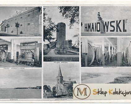 Kruszwica Winiarnia Makowskiego 