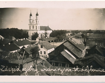 Zdzięcioł Widok ogólny fotograficzna Lejbowicz