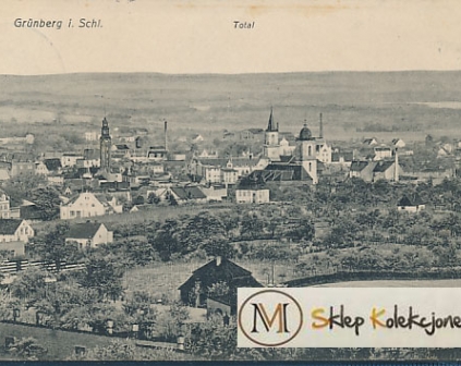 Zielona Góra widok ogólny 1912r