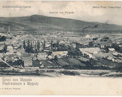 Wygoda Gruss aus Wygoda rejon Dolina