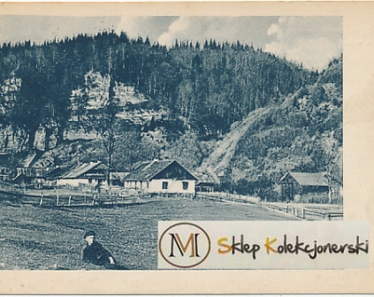 Pasieczna Domy tartaczne