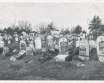 Brześć Litewski Brest- Litowsk Jewish cemetery 
